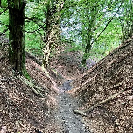 Сasa de vacaciones 16 Person In Brovst-by Traum Brovst